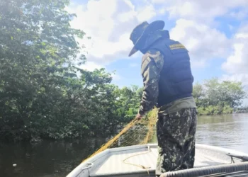 Operação resultou na apreensão de 1,5 mil metros de redes de pesca - Foto: Naturatins/Governo do Tocantins