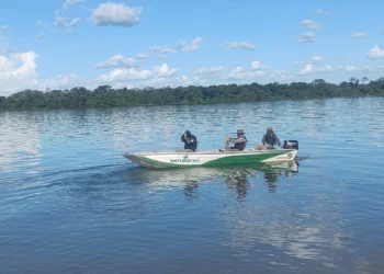 Na região central, foi realizada a Operação Guardiões do Lago UHE Lajeado - Foto: Naturatins/Governo do Tocantins