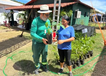 Supervisor da APA Lago de Palmas,Abel Andrade, realiza entrega de mudas e orienta comunidade - Foto: Flávia Mendes/Governo do Tocantins