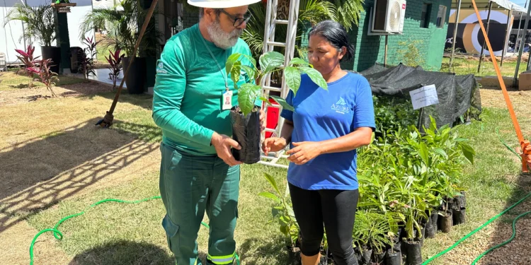 Naturatins realiza atendimentos ambientais e reforça compromisso com desenvolvimento sustentável na Agrotins 2025