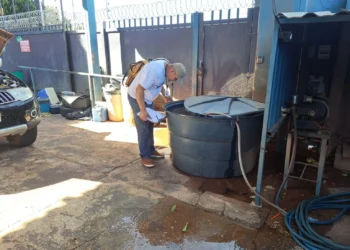 Prefeitura de Palmas informa sobre novo tipo de dengue e orienta sobre quando procurar USFs e UPAs