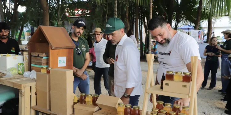 Governo do Tocantins promove o Dia do Mel na Agrotins 25 anos