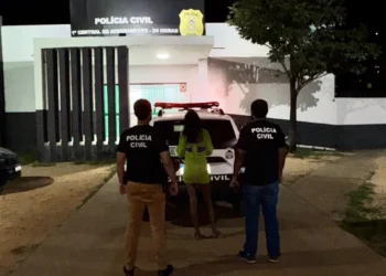 Mulher de 38 anos é presa por receptação em Palmas - Divulgação PC/TO