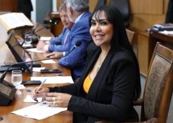 Deputada Janad Valcari solicita asfaltamento da TO-490, entre Paranã e São Valério