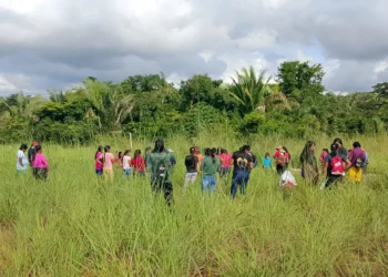 Fotos: Acervo Pyka Mex