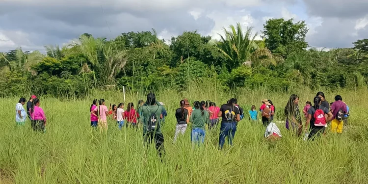 Formação de jovens mulheres Apinajé marca início do projeto “Guardiãs da Vida”