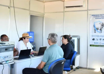 Produtores rurais durante atendimento na Unidade Local da Adapec na Agrotins - Foto: Majuh Souza / Governo do Tocantins.