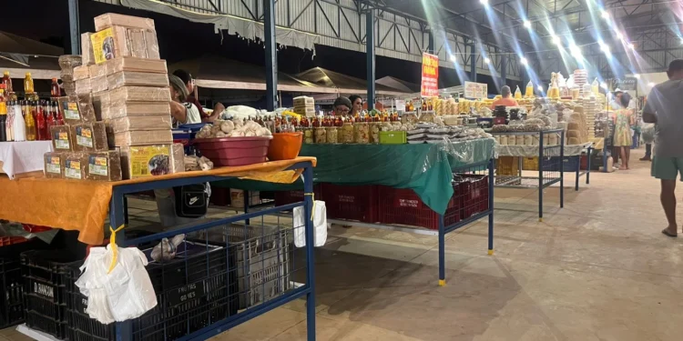 Prefeitura de Palmas entrega piso e novas bancas à Feira da Arse 112