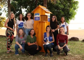 Prefeitura de Palmas amplia distribuição de casinhas para animais em situação de rua