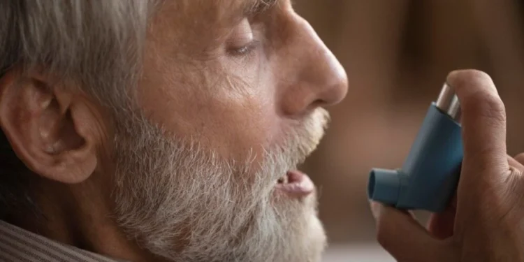 As crises asmáticas tendem a se intensificar durante o outono e inverno - crédito: FreePik