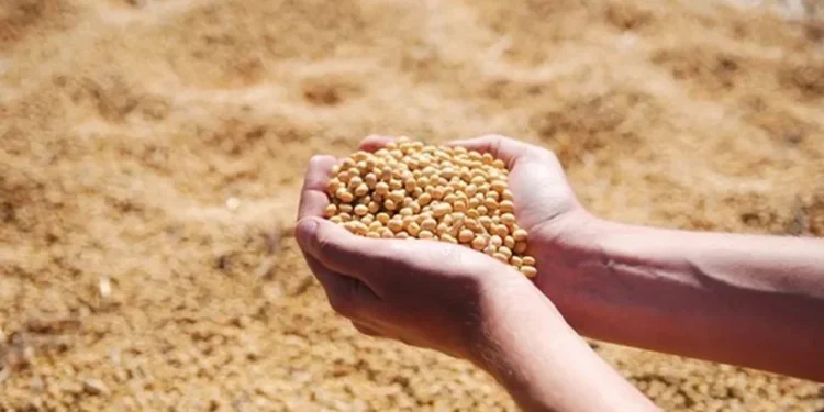 Eduardo Leão: A China tem investido mais em biotecnologia e edição gênica, então passa a haver interesse maior de exportar essa tecnologia para o Brasil” — Foto: Globo Rural