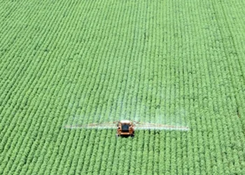 Sueme Mori ainda indicou que a CNA vê a tarifa recíproca de 10% como um “patamar mínimo” ao Brasil • Paulo Whitaker/Reuters