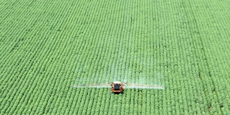 Agro traça cenários e vê acordo entre EUA e China como pior caso ao Brasil