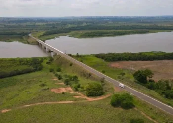 Rota da Celulose envolve R$ 10 bilhões em investimentos • Reprodução / Governo Federal