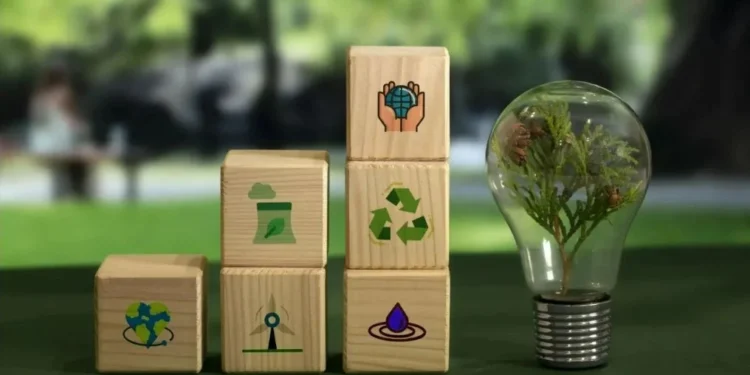 COP30 e as oportunidades de negócio