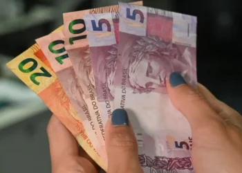 Rendimento mensal real domiciliar per capita chegou ao maior valor da série histórica do módulo Rendimento de todas as fontes em 2024 • Reprodução