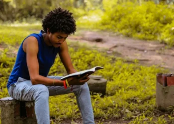 Programa da ONU pagará passagens de ida e volta, além de cobrir custos com a acomodação • Gift Habeshaw/Unsplash