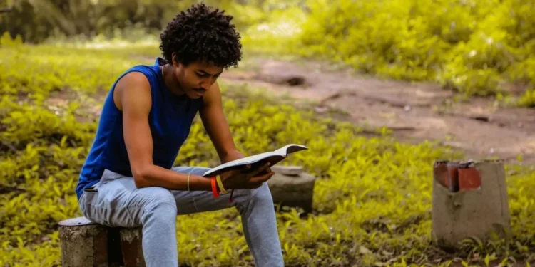 Afrodescendentes podem se inscrever em programa de treinamento na ONU