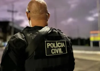 Foto: Divulgação / Polícia Civil