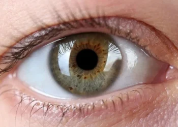 A injeção de nanopartículas de ouro diretamente no olho pode ser um primeiro passo para a cura de alguns tipos de cegueira • Brown University