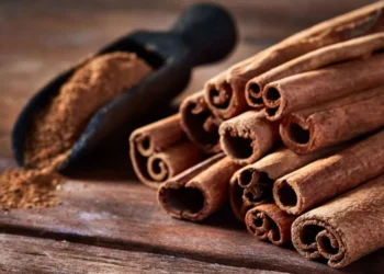 Canela • Helen Camacaro/GettyImages