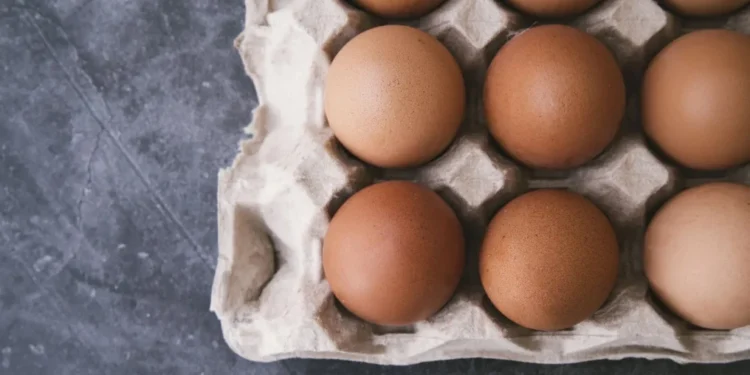 ABPA: exportação de ovos do Brasil aos EUA dispara mais de 800% até abril