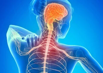 Ilustração mostra corpo feminino de costas e regiões afetadas pela esclerose múltipla -
crédito: Prosense/reprodução