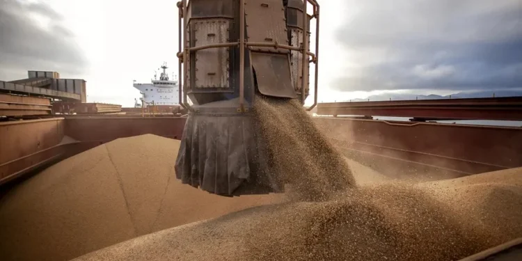 Soja brasileira ainda pode levar vantagem mesmo após acordo EUA-China