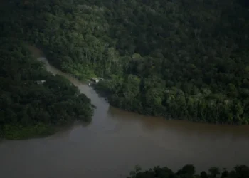 Vista da região da Foz do Amazonas, no Amapá • 31/03/2017REUTERS/Ricardo Moraes