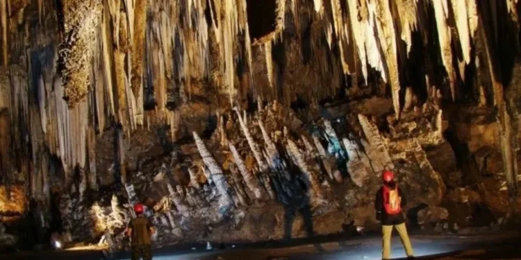 Brasil registra aumento de 11% no número de cavernas; veja onde estão