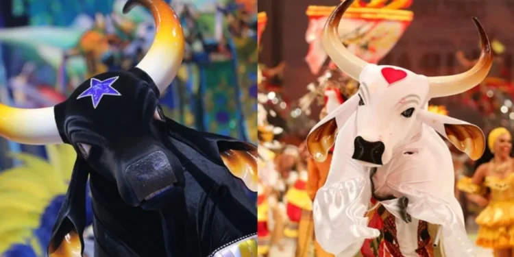 Festival de Parintins ganha toada em homenagem a Caprichoso e Garantido