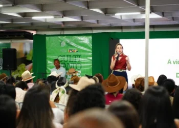 A comunicadora e mentora, Sirlei Benetti, realizou a palestra"Você nasceu pra dar certo" no estande do Sistema FAET/Senar.