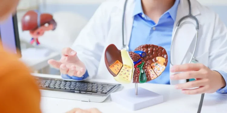 Gordura no fígado, ou esteatose hepática, é uma das doenças hepáticas crônicas mais prevalentes no mundo • PonyWang/GettyImages