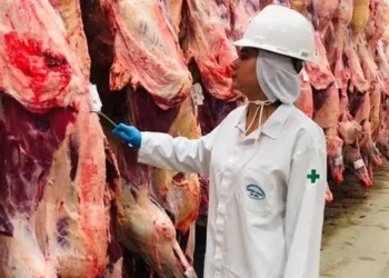 Auditores fiscais federais frigoríficos fiscalização — Foto: Anffa Sindical/Divulgação