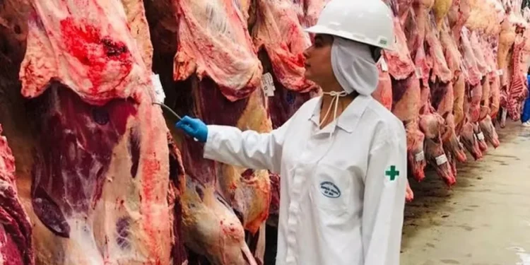 Governo promete convocar novos auditores agropecuários; ouça o comentário