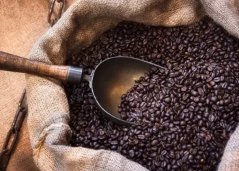 A impossibilidade do embarque desse volume de café também impediu que o país recebesse US$ 328,60 milhões, ou R$ 1,900 bilhão, como receita cambial em suas transações comerciais — Foto: Getty Images/Canva