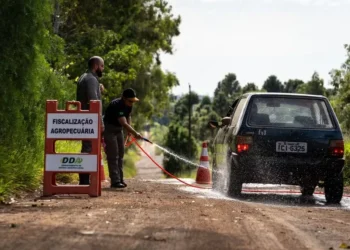 Até o momento, 2.805 veículos passaram por abordagem e desinfecção — Foto: Marcelo Curia