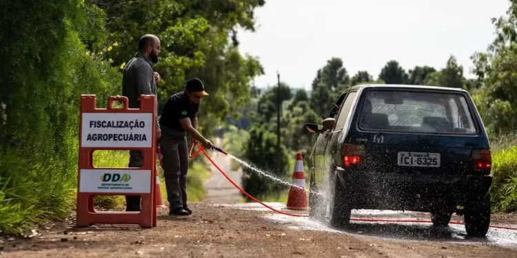 Gripe aviária: Defesa Sanitária começa a reduzir barreiras no local do foco