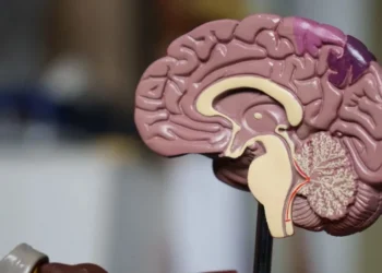 Em casos raros, o Alzheimer pode surgir precocemente, em pessoas com menos de 65 anos • Unsplash/Robina Weermeijer