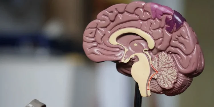 Veja os prós e contras do novo medicamento para tratar Alzheimer