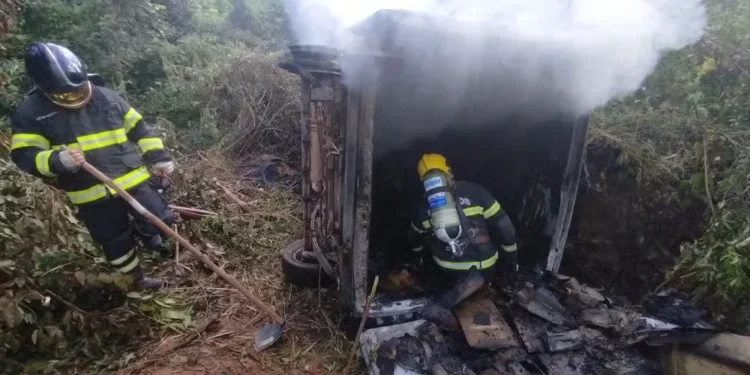 Bombeiros combateram o fogo na zona rural de Araguatins — Foto: Divulgação/Bombeiros