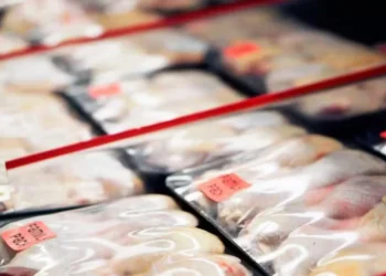 O conjunto de mercados fechados representa cerca de 45% do volume de carne de frango exportado em abril de 2025 — Foto: Canva/Creative Commons