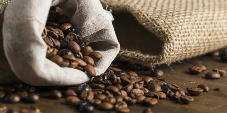 Apetite da indústria por café segue lento enquanto produtor foca na colheita