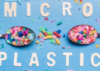 Os cientistas ainda desconhecem o mecanismo exato que leva as partículas de plástico a favorecer o desenvolvimento do câncer -
crédito: Freepik