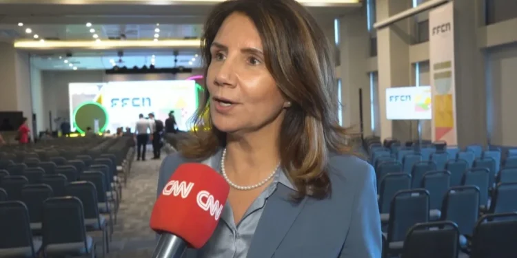 Adaptação a desastres depende de financiamento, diz CEO da COP30 à CNN