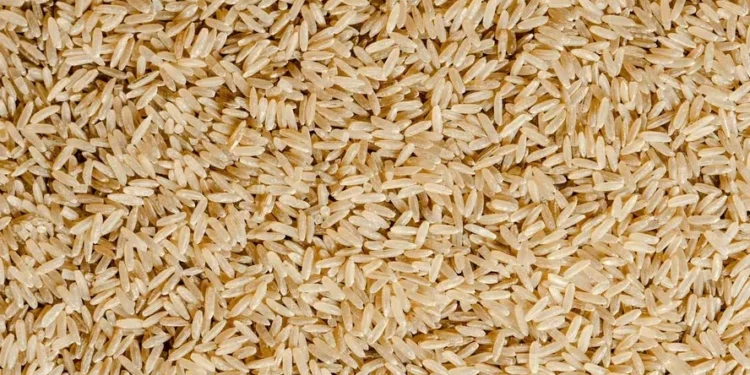 Preço do arroz segue em queda e limita margens de lucros dos produtores