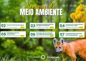 Compromisso com o futuro: Governo do Tocantins realiza maior programação ambiental já vista no Estado
