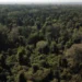 COP30 será palco para Brasil promover minerais raros e captar recursos