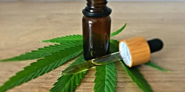 Entre avanços e mitos: entenda sobre o uso da cannabis medicinal no Brasil
