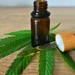 Entre avanços e mitos: entenda sobre o uso da cannabis medicinal no Brasil